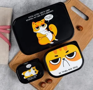 ЗВ Набор ланч-боксов  3 шт. Кот 4933700