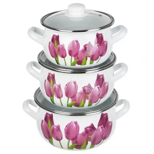 HASCEVHER Набор кастрюль (6пр.) Алые тюльпаны SMY-21/21/1974