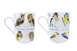 КОРАЛЛ Кружка 310мл. Wild birds YQ20501-4 микс