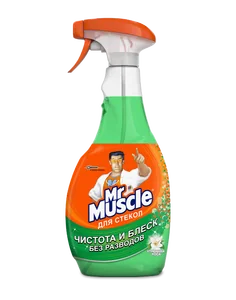 MR MUSCLE Средство для стекол 500 мл. Утренняя роса 4823002000153