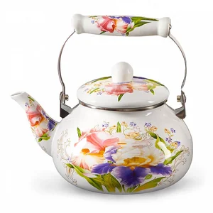 METALLONI Эмалированный чайник 2.5л. Ирис EM-251X1/57