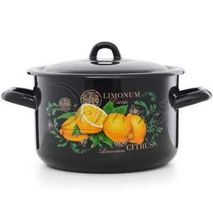 ЭСТЕТ Кастрюля 2,9 л Цитрус ЭТ-72902 цилиндрический