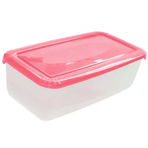 DELTA Ёмкость для хранения продуктов прямоугольная 6,0л POLAR РТ1679