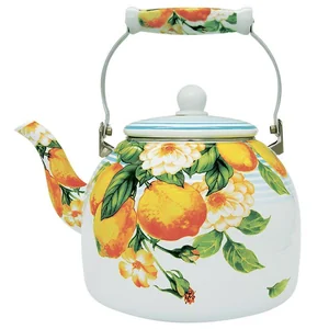 METALLONI Чайник 5,0 л с керамической ручкой Лимон EM-501X1/47 