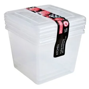 DELTA Набор емкостей для заморозки квадратных 3 штуки 1 л РТ2010НАТ-12 натуральный