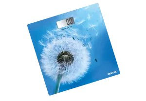 CENTEK Весы напольные CT-2421 Spring Flower