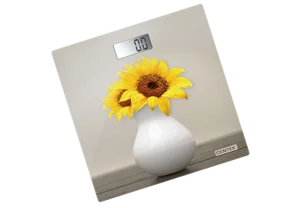 CENTEK Весы напольные CT-2428 Sunflower