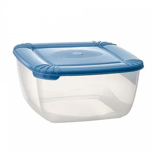 DELTA Емкость для хранения пищевых продуктов POLAR квадратная 2,5 л PT1677ТГ-10 туманно-голубая