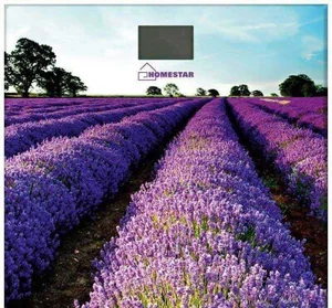 HOMESTAR Весы напольные электронные HS-6001G