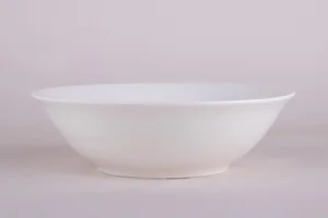 КОРАЛЛ Салатник 20см Общепит SRHT008