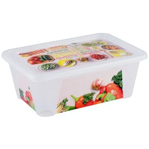 CURVER Контейнер 1.65л GREEN & RED C77304 микс