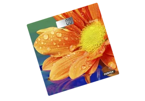 CENTEK Весы напольные CT-2420 Гербера