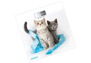CENTEK Весы напольные CT-2426 Kitten