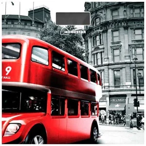 HOMESTAR Весы напольные электронные HS-6001F