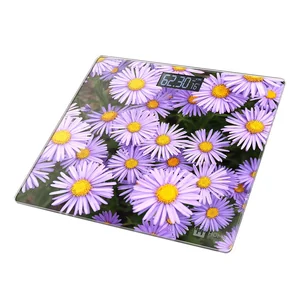 HOME ELEMENT Весы напольные электронные HE-SC904 Альпийская астра