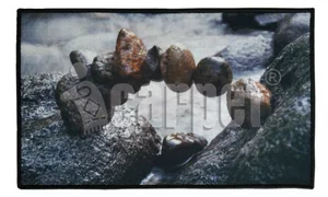 SHAHINTEX Коврик FANTASY ICARPET 50*80 см. придверный 00-00004010