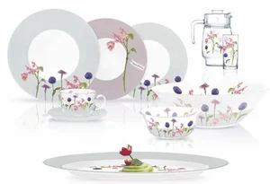 LUMINARC Набор столовый 46пр. Rosana Begonia N2143