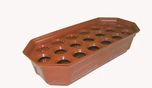 АГРОПЛАСТ Лоток для проращивания лука 44