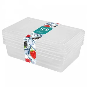 DELTA Комплект контейнеров для заморозки Asti прямоугольных 0,75 л х 3 штуки 221100801/00 бесцветный