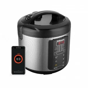 REDMOND Мультиварка SkyCooker M225S