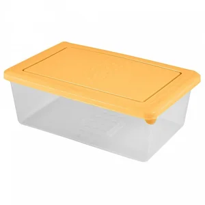 DELTA Контейнер для продуктов Asti прямоугольный 1,05 л 221100204/01 бледно-желтый