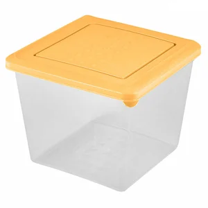 DELTA Контейнер для продуктов Asti квадратный 1 л 221100404/01 бледно-желтый