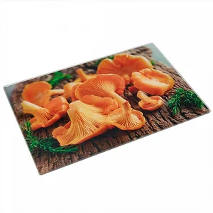 ALPENKOK Доска разделочная 20×30 см стеклянная AK-9046 Лисички