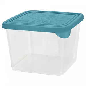 DELTA Контейнер для продуктов HELSINKI Artichoke 0,75 л квадратный PT143211046 голубой океан