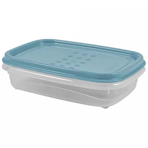 DELTA Емкость для хранения пищевых продуктов PATTERN FLEX прямоугольная 0,3 л PT1130ГО голубой океан