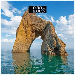 VICONTE Весы напольные VC-524-01