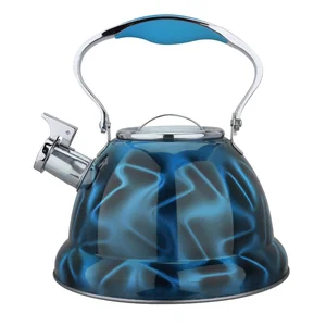 MERCURYHAUS Чайник MC-7829 3,0 л.