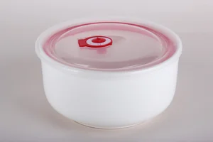 КОРАЛЛ Контейнер для хранения с вакуумной крышкой 600мл 16см SXY112