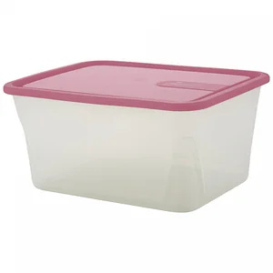 DELTA Контейнер для продуктов Sugar&Spice Honey 0,9 л прямоугольный SE110311054 брусника