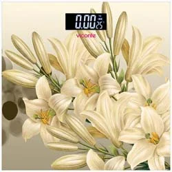 VICONTE Весы напольные VC-526-02