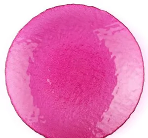 PASABAHCE Тарелка упроч. ЭНЖОЙ ФУКСИЯ 240 мм 10381SLBD8