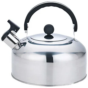 MALLONY Чайник Casual, объем 2.5 л, из нерж стали со свистком, зеркальная полировка. 007297-SK