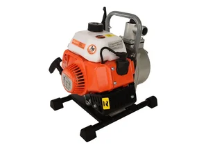 Sturm Мотопомпа BP8701