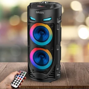 Ginzzu Мидисистема GM-220