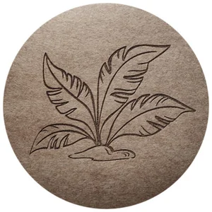 MALLONY Салфетка сервировочная NP-09, диам 38 см, (нетканый полиэстер) 105868-SK