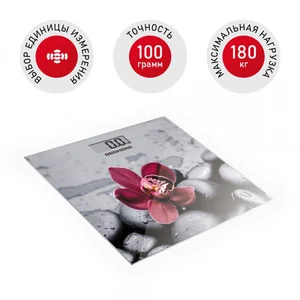 REDMOND Весы напольные электронные RS-733 орхидея