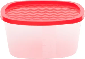 DELTA Контейнер 365 дней 2,65л. HC002