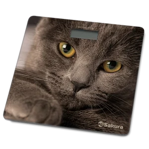 Sakura Весы напольные электр. SA-5065CT