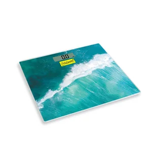 MAESTRO Электронные персональные весы MR-1827