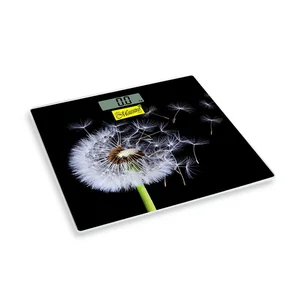 MAESTRO Электронные персональные весы MR-1828