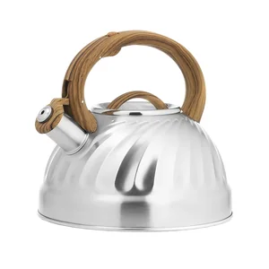 LARA Чайник LR00-69 (зеркальный)