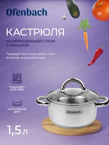Kamille Кастрюля 1,5 л. из нержавеющей стали Ofenbach NB 100523 с крышкой (d16х8 см)