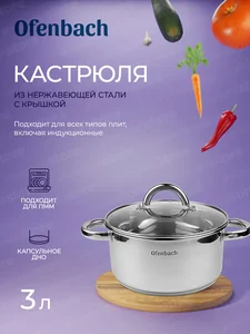Kamille Кастрюля 3 л. из нержавеющей стали Ofenbach NB 100525 с крышкой (d20х10 см)