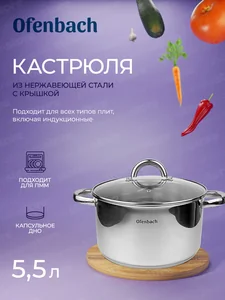 Kamille Кастрюля 5,5 л. из нержавеющей стали Ofenbach NB 100527 с крышкой (d24х13,5 см)