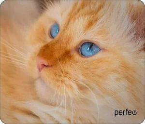 PERFEO Коврик для мыши PF_D0668 Cat