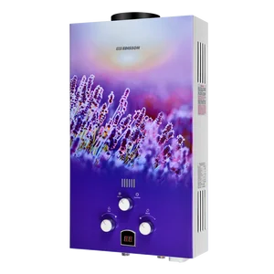 EDISSON Газовая колонка E 20 GD (Лаванда)